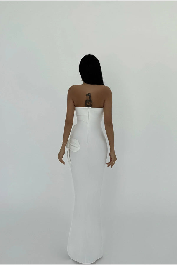 Daysi Strapless Maxi Dress
