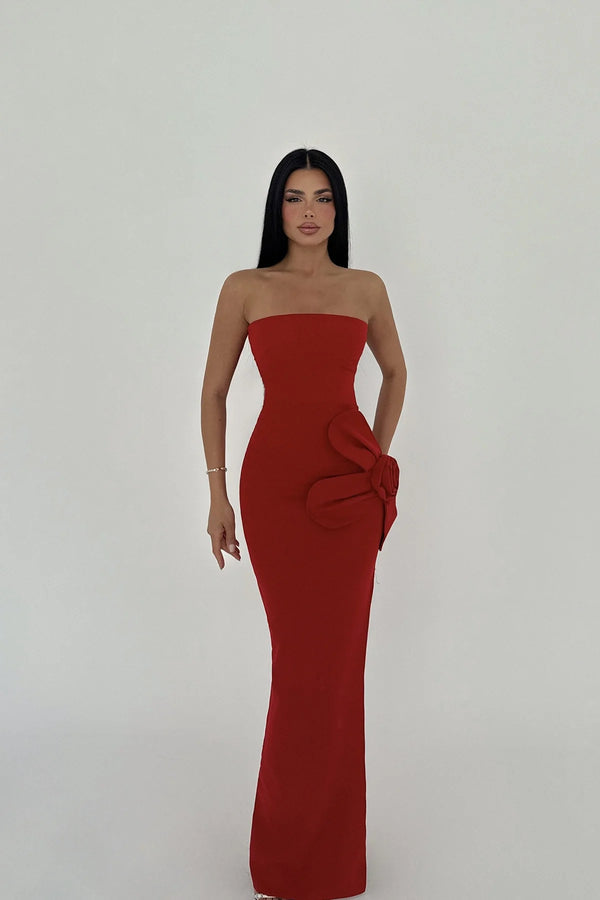 Daysi Strapless Maxi Dress