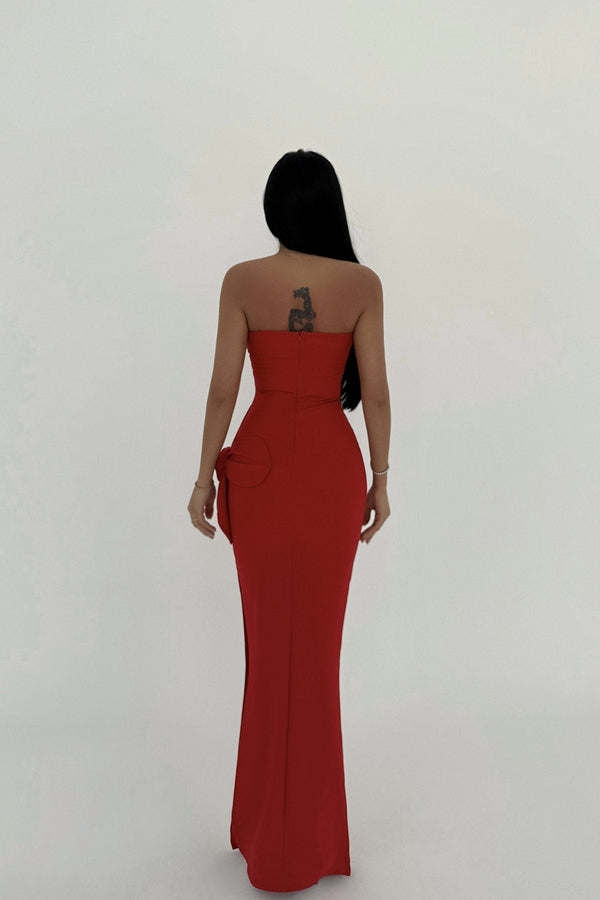Daysi Strapless Maxi Dress