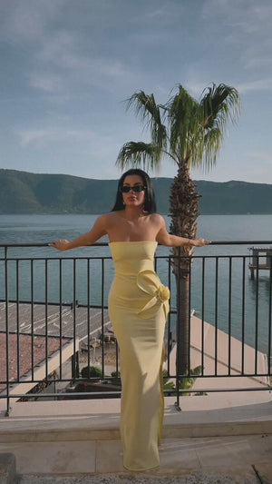 Daysi Strapless Maxi Dress