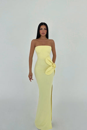 Daysi Strapless Maxi Dress