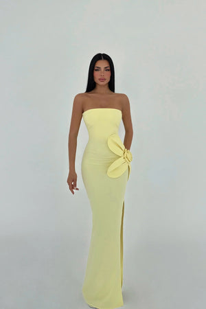 Daysi Strapless Maxi Dress