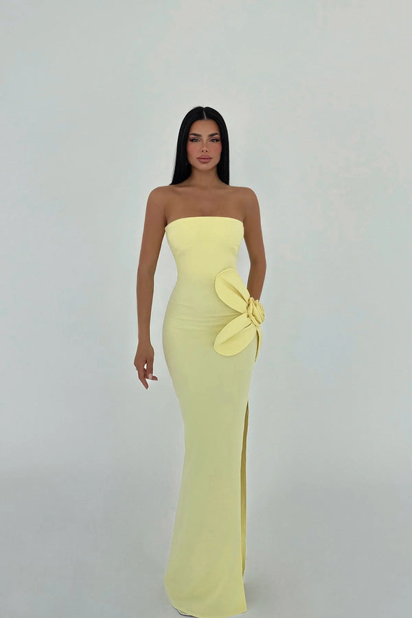 Daysi Strapless Maxi Dress