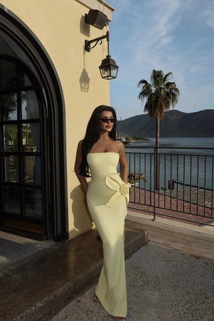 Daysi Strapless Maxi Dress