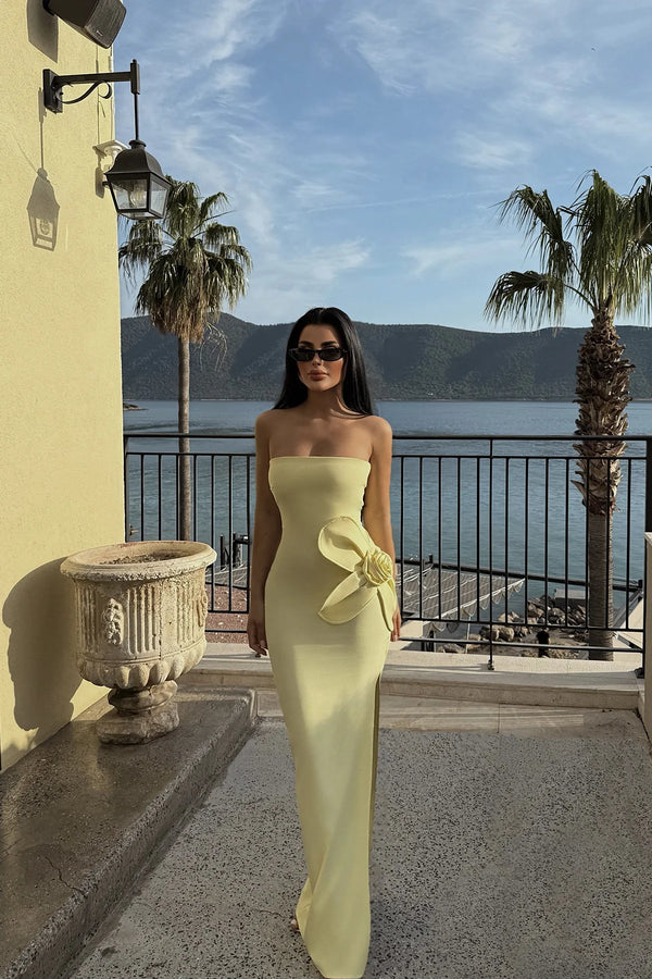 Daysi Strapless Maxi Dress