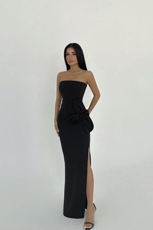Daysi Strapless Maxi Dress